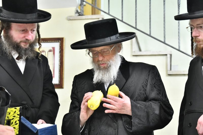 שוקי לרר