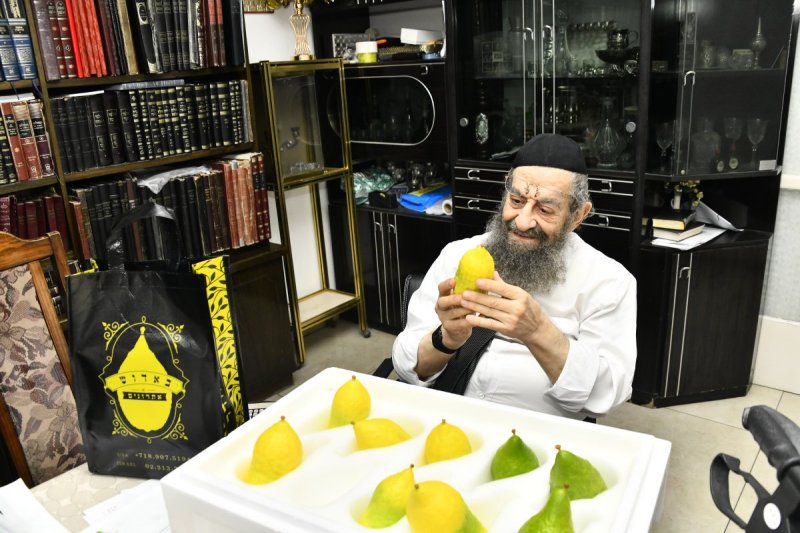 שוקי לרר