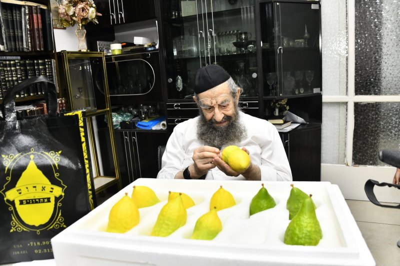 שוקי לרר