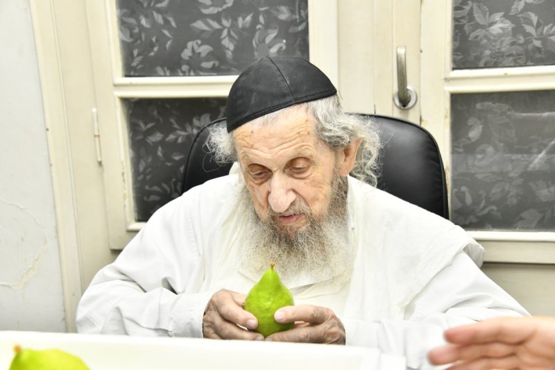 שוקי לרר