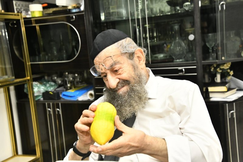 שוקי לרר