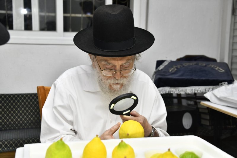 שוקי לרר