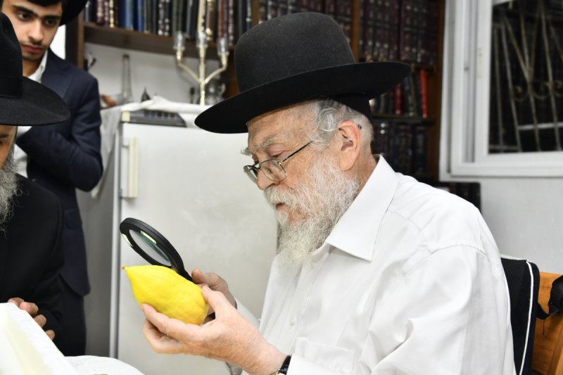 שוקי לרר