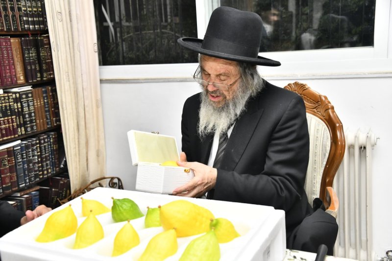 שוקי לרר