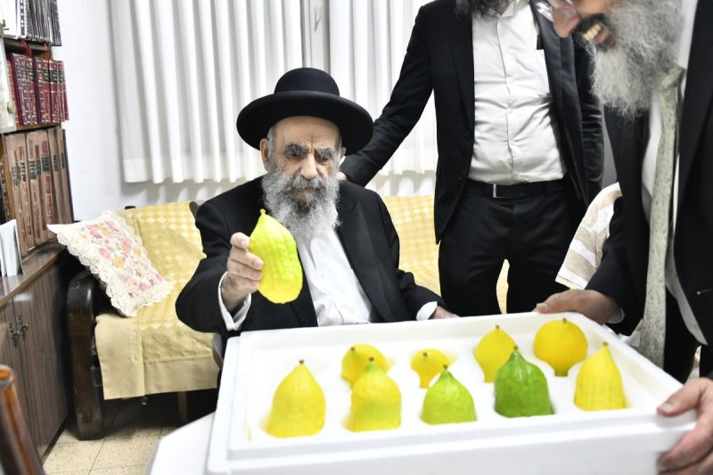 שוקי לרר