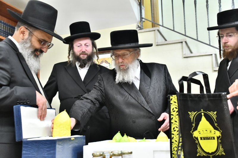 שוקי לרר