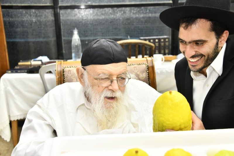 שוקי לרר