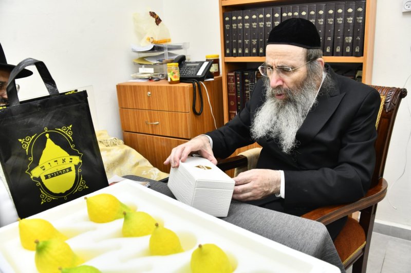 שוקי לרר