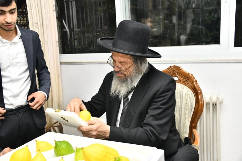 שוקי לרר