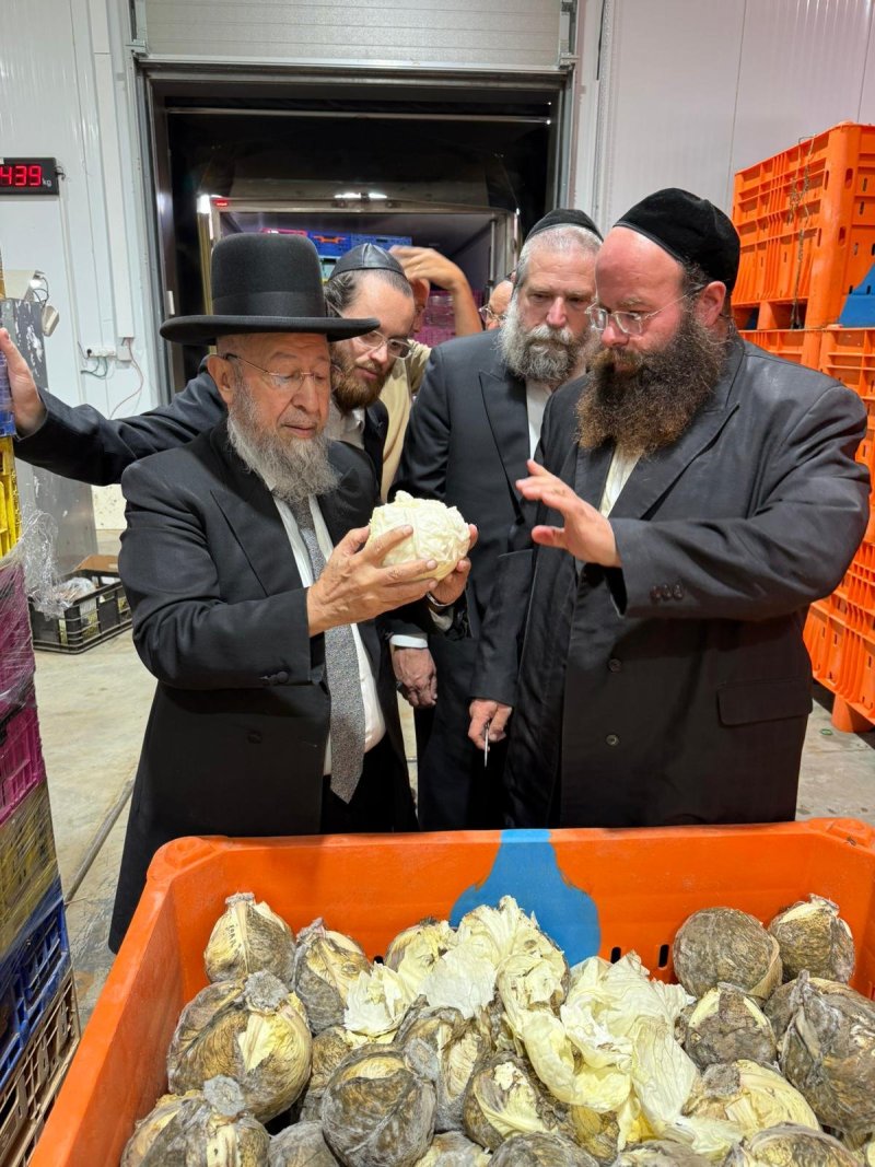 יחצ