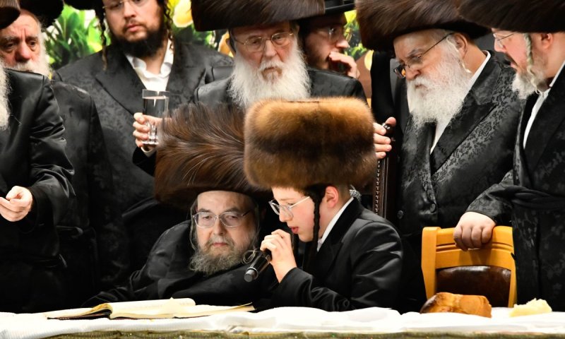 שמחת בר המצווה בבעלזא לנכד 'משה יהושע' נחגגה בחוץ