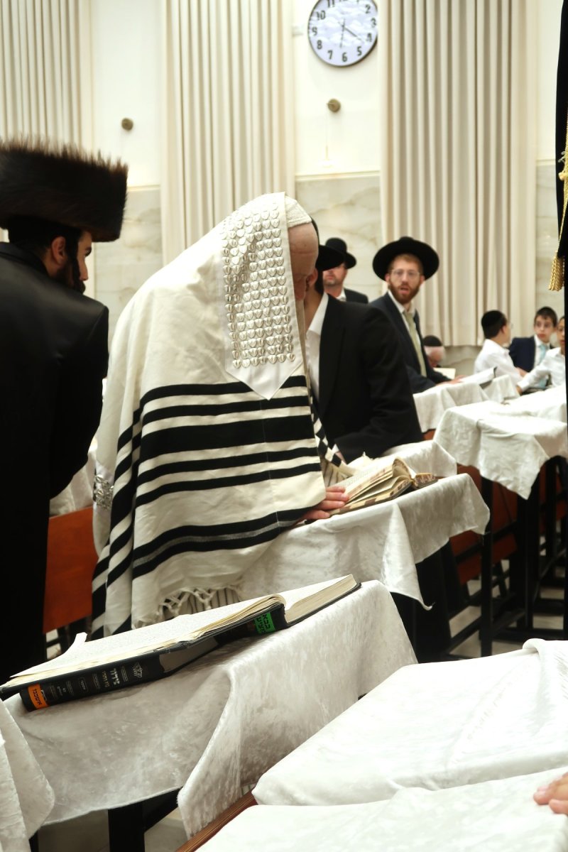 שימי פ.