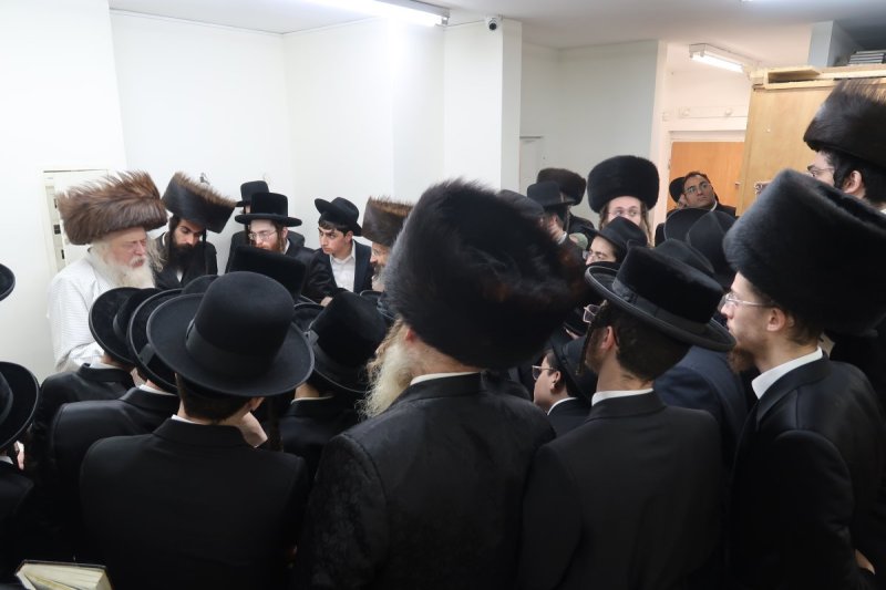 שימי פ.