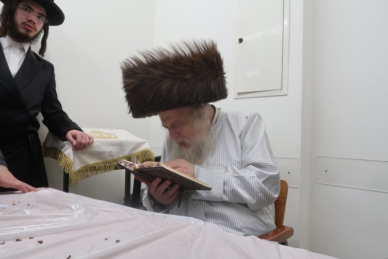 שימי פ.