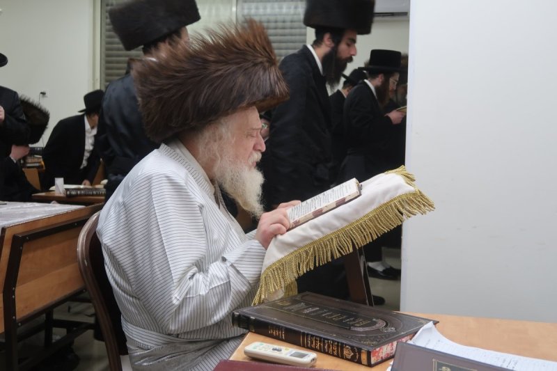 שימי פ.