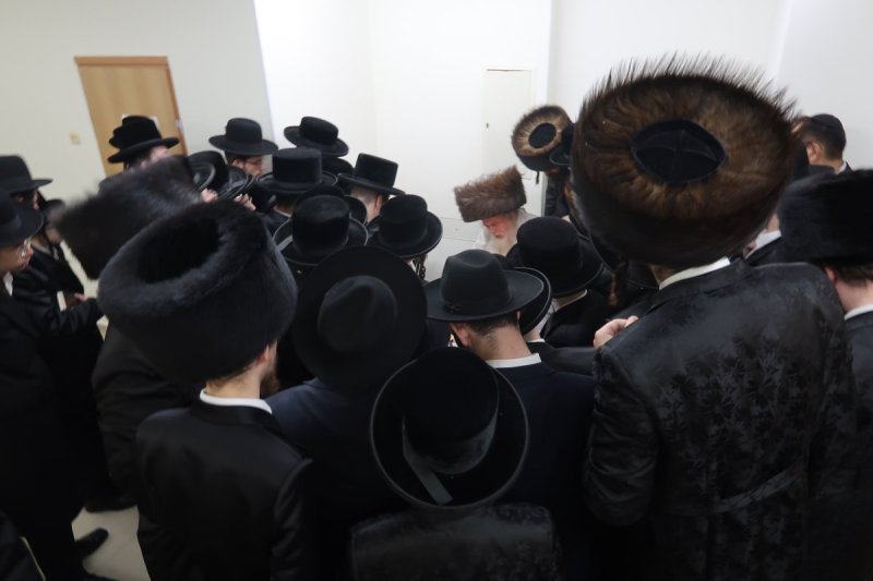 שימי פ.