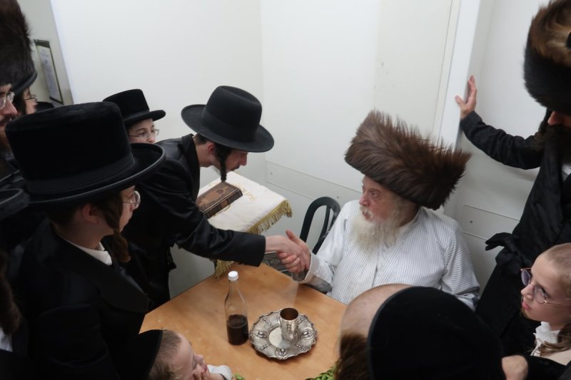 שימי פ.
