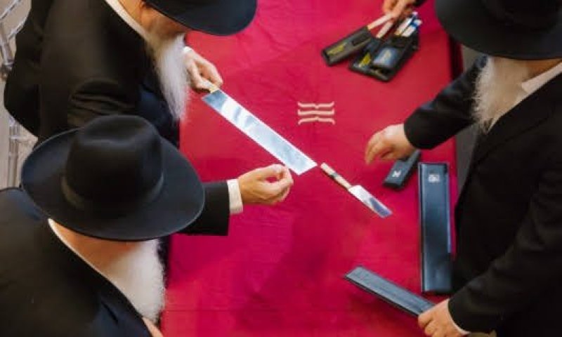 הדור השלישי של השוחטים: הצצה נדירה למסירות הנפש מאחורי הקלעים | צפו