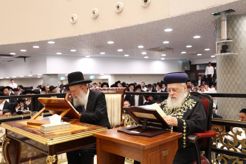 דוד ארזני