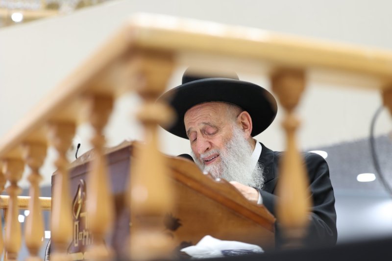 דוד ארזני