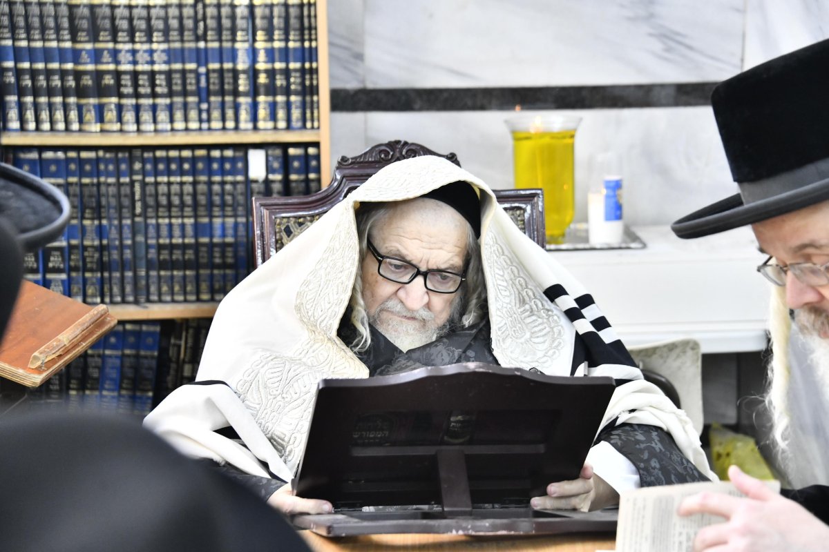 שוקי לרר