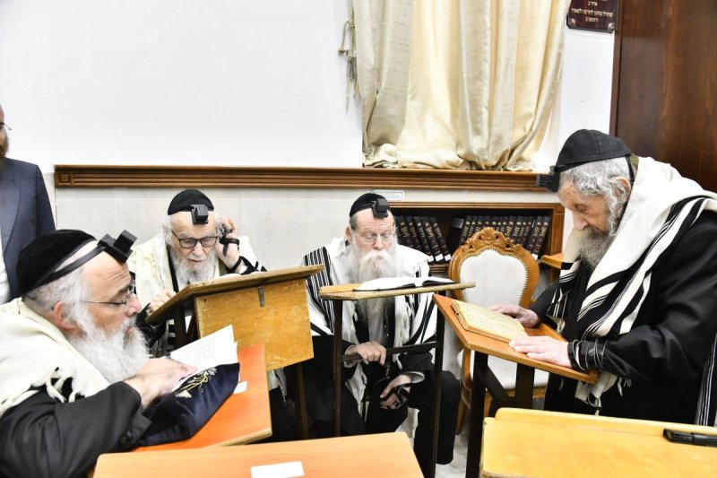 שוקי לרר