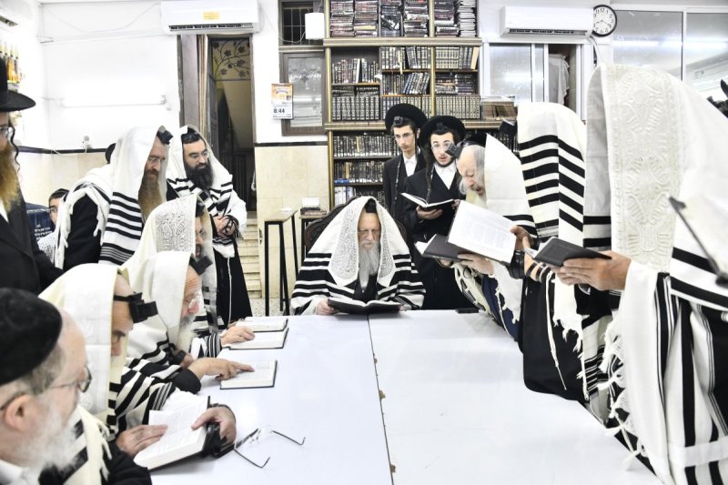 שוקי לרר