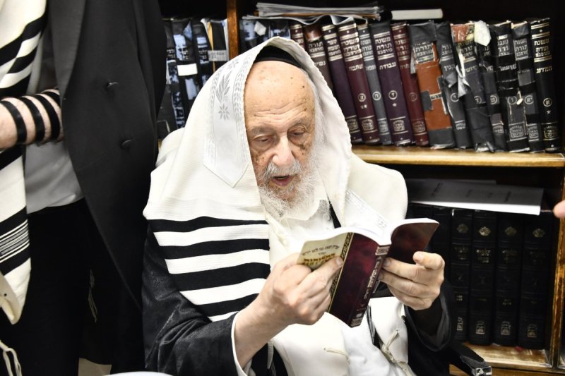 שוקי לרר