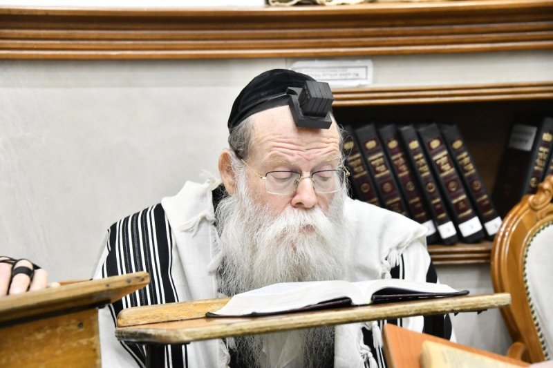 שוקי לרר