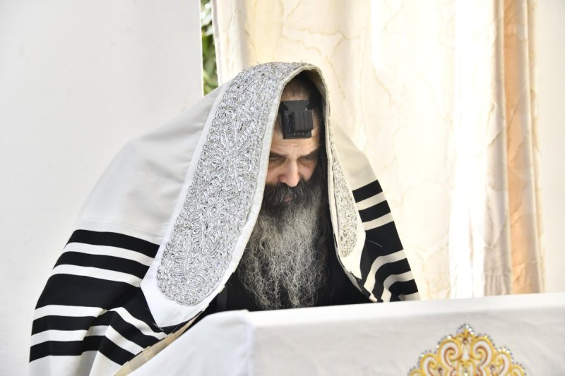 שוקי לרר
