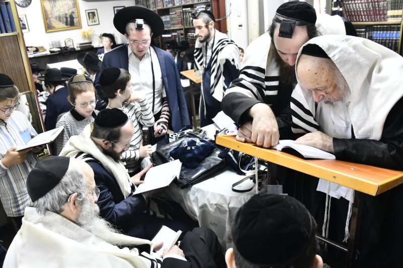 שוקי לרר