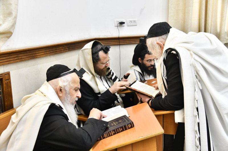 שוקי לרר
