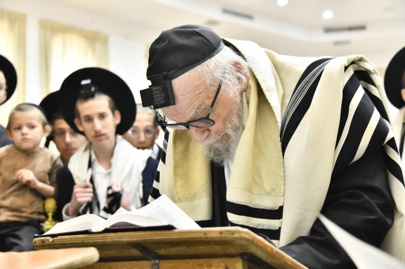 שוקי לרר