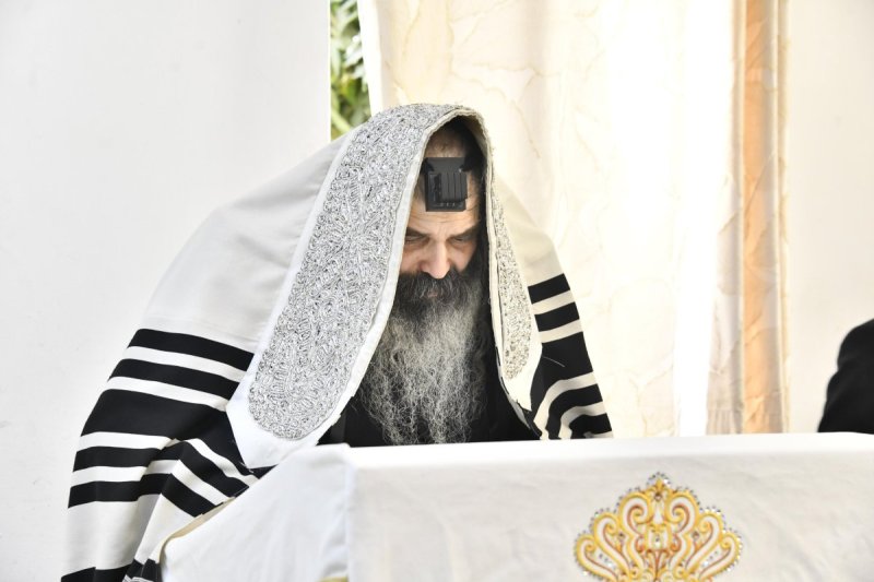 שוקי לרר