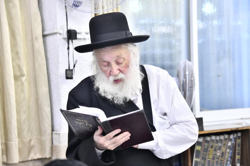 שוקי לרר