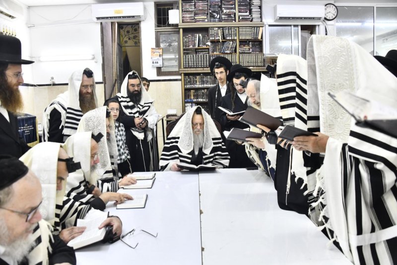 שוקי לרר