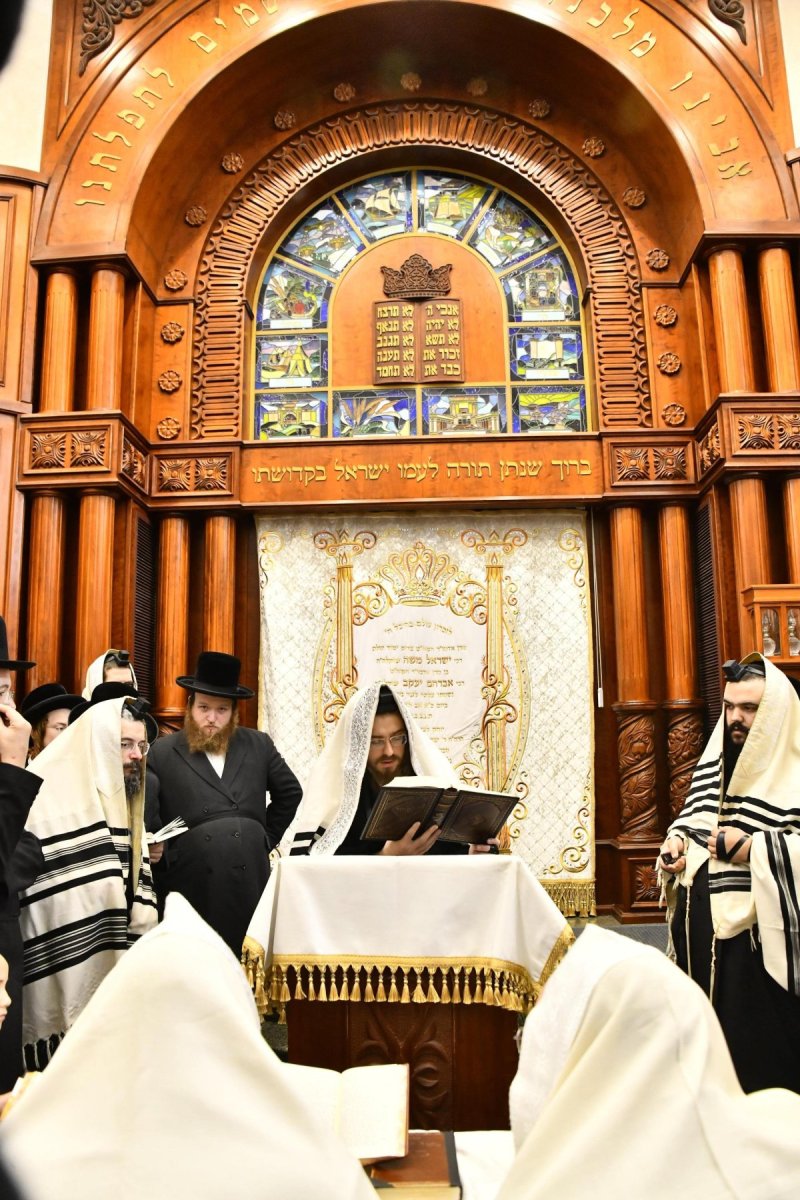 שוקי לרר
