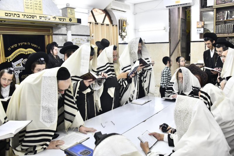 שוקי לרר
