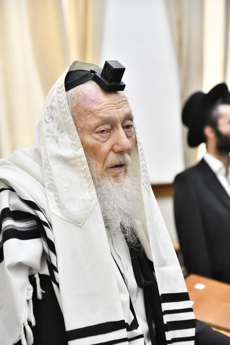 שוקי לרר
