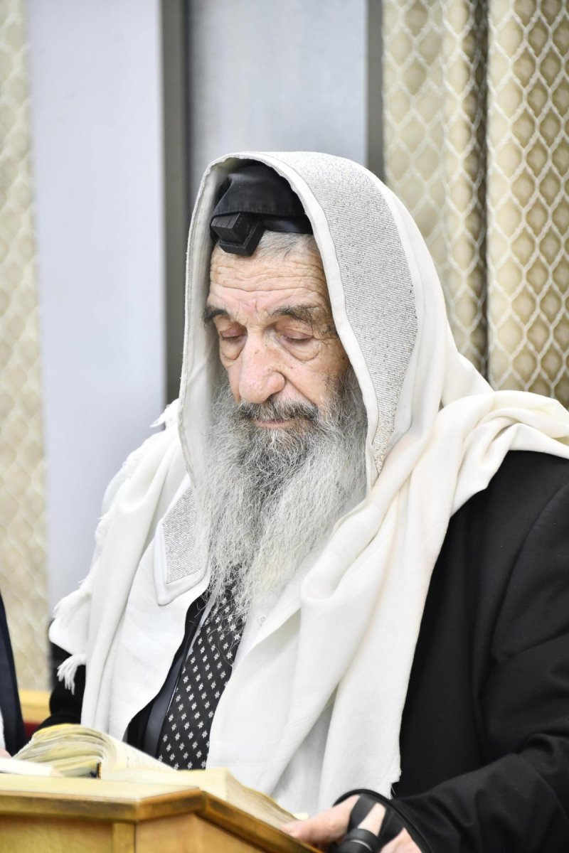 שוקי לרר
