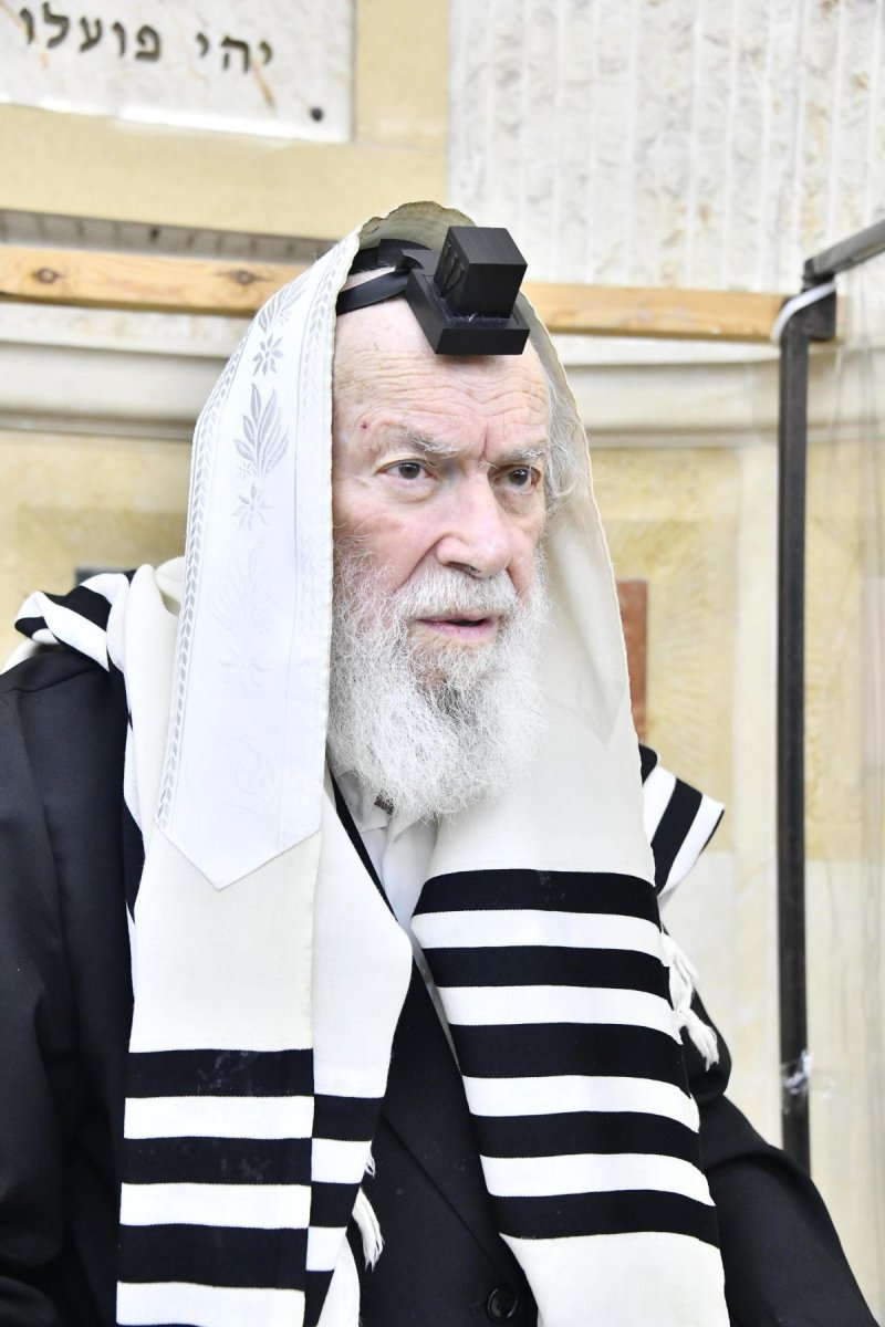 שוקי לרר