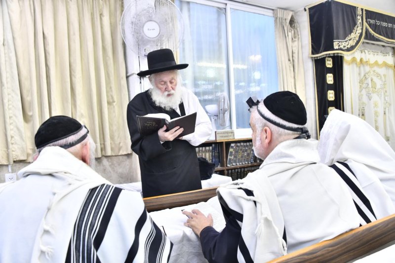 שוקי לרר