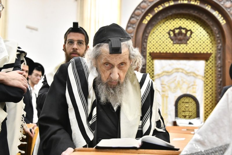 שוקי לרר
