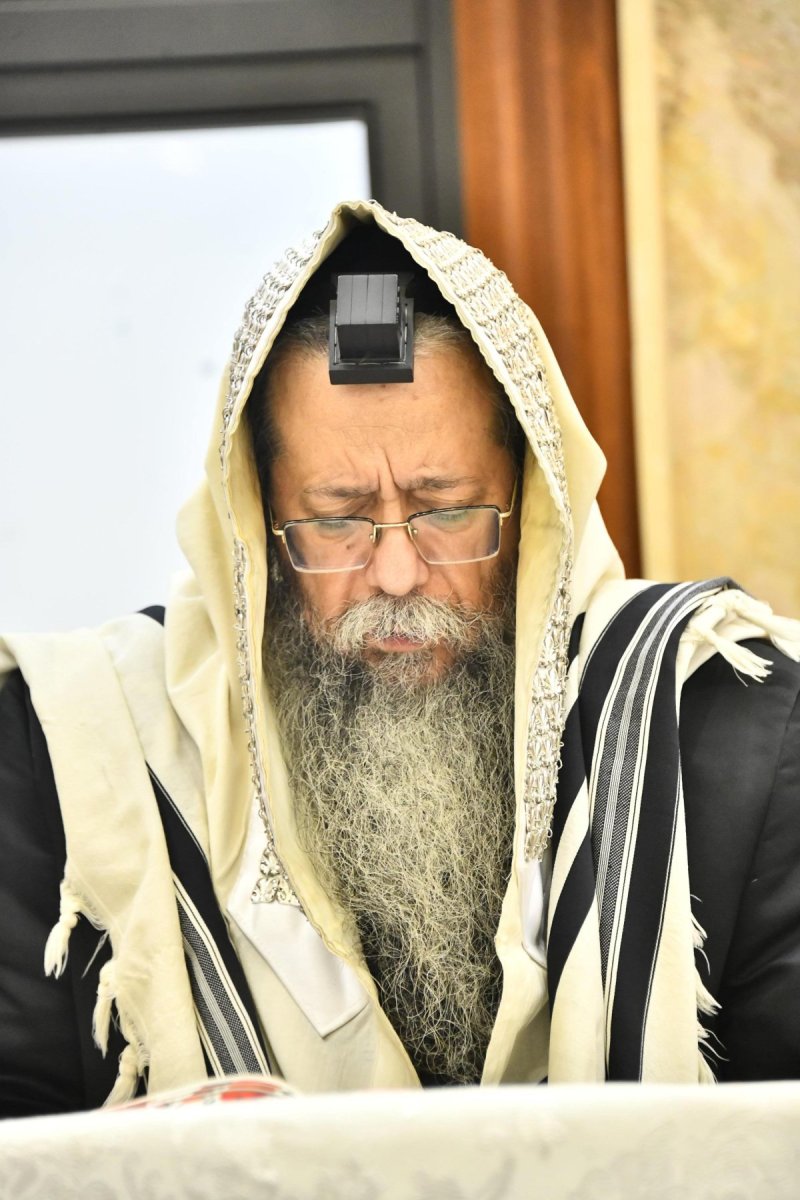 שוקי לרר