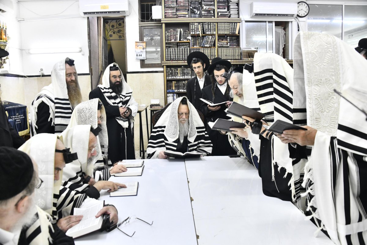 שוקי לרר