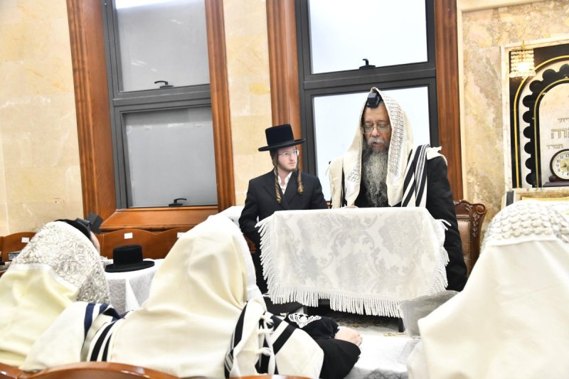 שוקי לרר