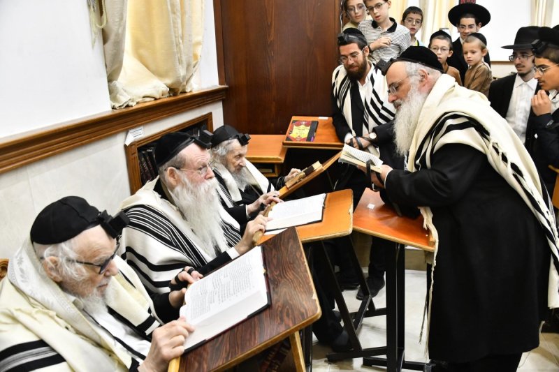 שוקי לרר
