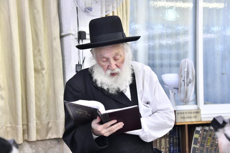 שוקי לרר