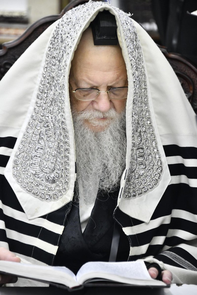 שוקי לרר