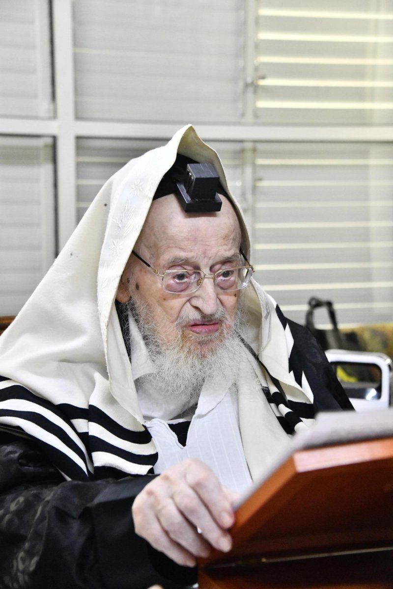 שוקי לרר